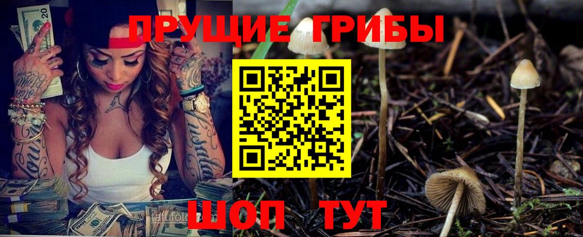 Прокопьевск  Галлюциногенные грибы мухоморы  Вход с VPN 